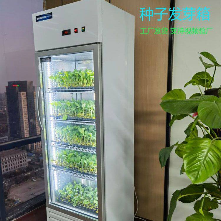 种子恒温发芽箱箱保温箱电热家用全自动培养箱催芽箱保温育苗植物