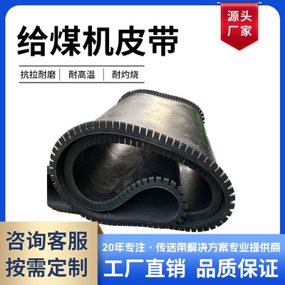 厂家供应称重给料机皮带 阻燃给煤机皮带选矿黑色橡胶输送带耐磨