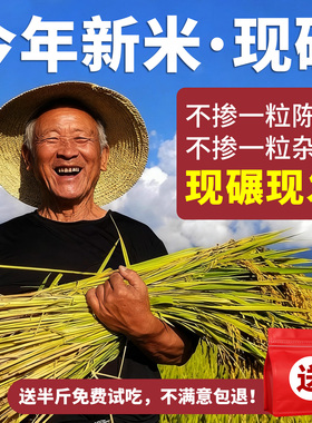 2025年新米云南有机软糯香大米一级优质粳米羊脂米象牙米胚芽米粥