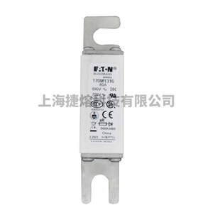 库存充足电子元 全新快速熔断器 170M1318 170M1317 器件 170M1316