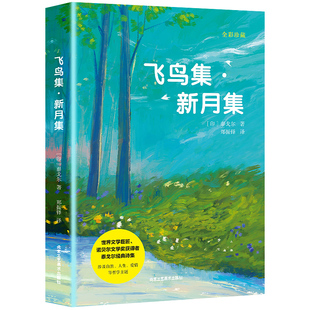 【5本20元全店任选】飞鸟集 新月集 泰戈尔著生如夏花诗选选集精美彩图典藏高中生必读