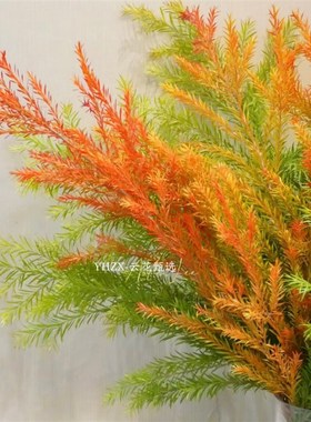 【云花甄选】油画色红色橙色黄绿色千层金组合鲜切枝云南直发空运