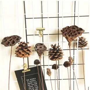 饰 饰摆件客厅松果棉花干花家居装 天然风干干花花束莲蓬真花套装 装