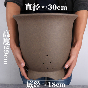 特大号紫砂兰花盆宜兴陶瓷君子兰春蕙兰吊兰绿萝阳台种菜盆 包邮