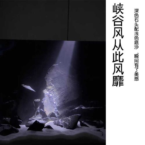 天然黑金石鱼缸水族箱造景装饰自然形态原石峡谷风溪流石乌龟晒台