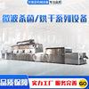 厂家直供经济型隧道式杂粮微波熟化设备微波烘干设备食品级