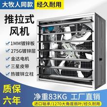 大牧人负压风机工业排风扇养殖换气扇强力抽风机通风排气扇降温