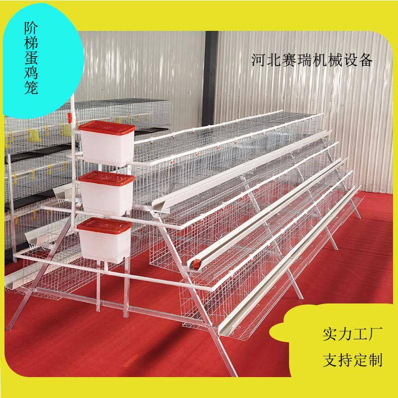 养殖阶梯蛋鸡笼全自动半自动蛋鸡笼鸡笼厂家家用笼具