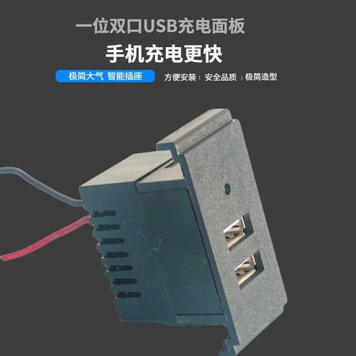 桌面插座模块，双口USB带灯手机充电5V，2.1A,AC交流电220V输入