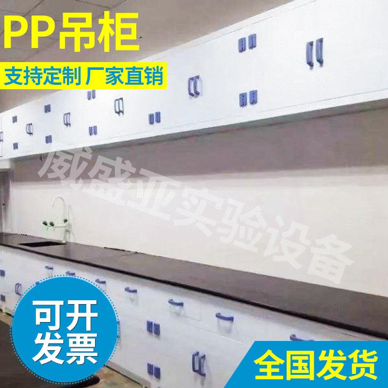 试验台厂家供应PP物理实验室吊柜化学实验室吊柜多功能耐高温