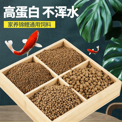 锦鲤金鱼上浮通用颗粒饲料