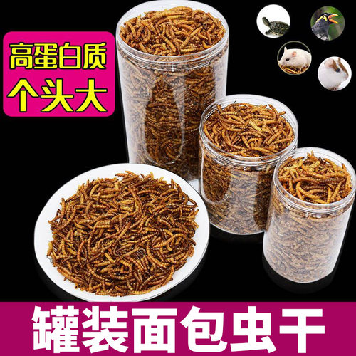 罐装面包虫干乌龟粮食宠物主粮