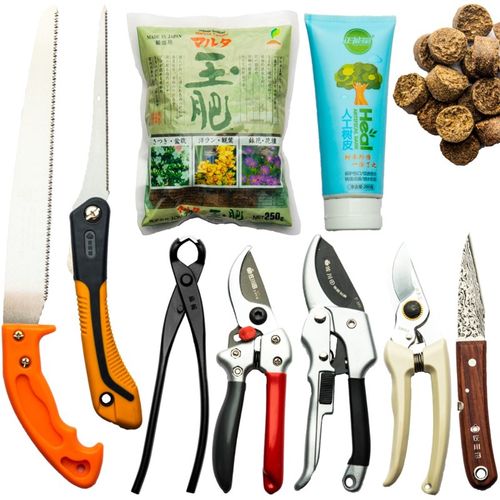 养护造型剪刀修枝剪球节愈合嫁接锯子剂玉肥修剪转盘专用盆景制作