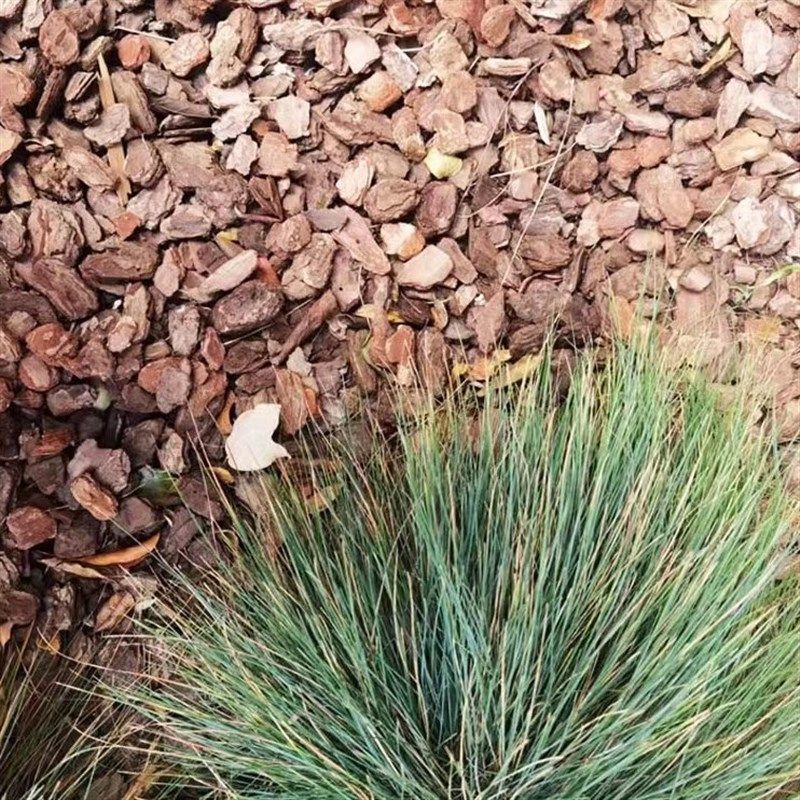 打磨松树皮造景园林有机覆盖物花池树穴花园庭院碎干树皮松鳞铺面