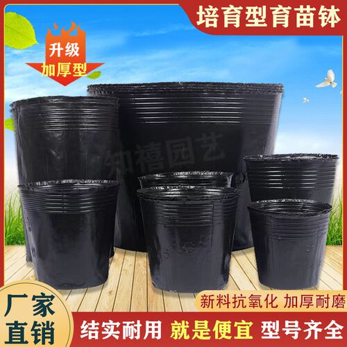 营养杯育苗杯一次性塑料花盆育苗盆营养育苗杯蔬菜种植盆育苗袋