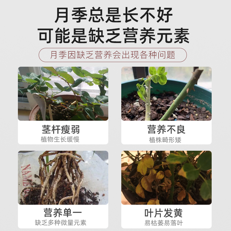 月季专用缓释肥复合肥家用型控释颗粒植物盆栽绿植花卉养花肥料