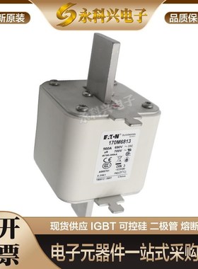 巴斯曼快速熔断器保险170M4266/4267/4268/4269/5258/5259/5260