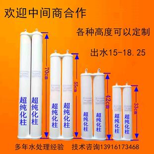 纯水机超纯化柱去离子水18.25纯水柱实验室生化仪水机耗材滤芯