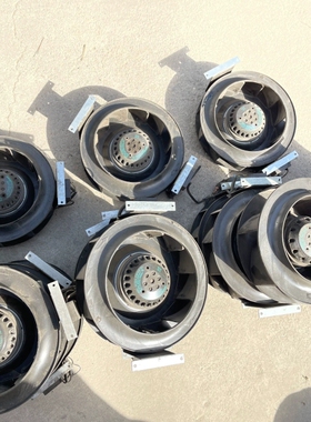 [维修]W2E142-BD01-01        德国Ebmpap