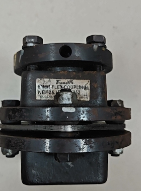 TSUBAKI椿本联轴器NEF25 P-252X352，拆机