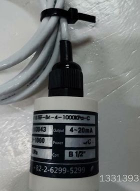 WISETEC  DP10 TEF-S4-4-1000KPa议价也可维修