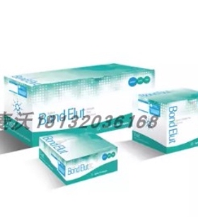 12102052安捷伦Bond Elut C18 柱500 mg6 mL40 μm30/