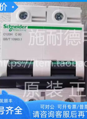 C120H 2P C125A A9N19825微型断路器