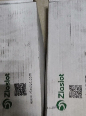 Ziasiot高温熔体压力传感器，型号6004PTOG3-7【议价】