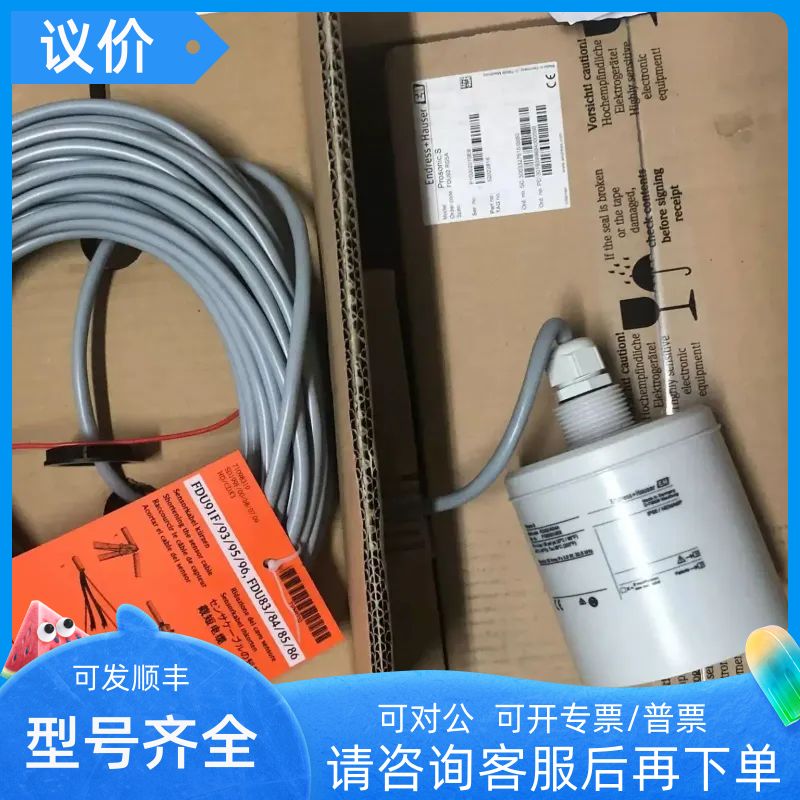 FDU91-RG1AA E+H 声波液位计探头 FDU91-RG2AA FDU92-RG1AA