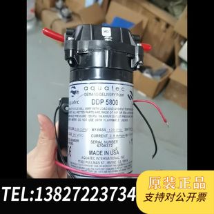 24V aquatec美国隔膜泵增压泵DDP5800 实物