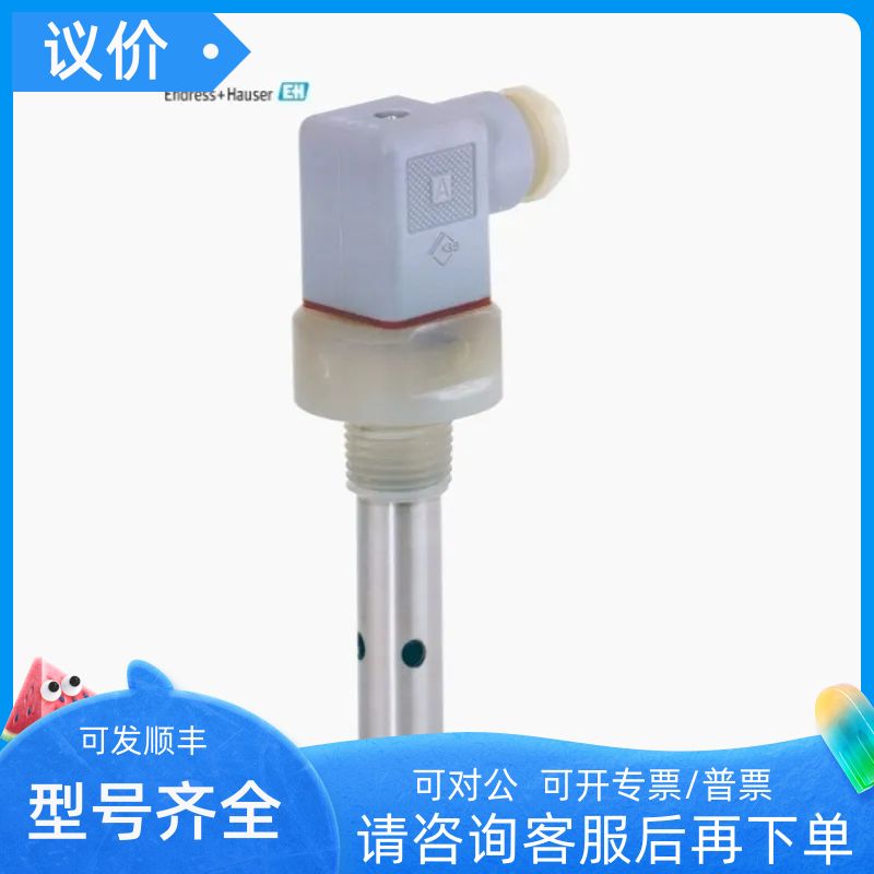 E+H模拟电导率传器  CLS19-B1A1A
