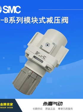 SMC原装减压阀AR30-N03/F03/G/B/E/H/BG/BE/GH/-1/-R/-1R - B正品