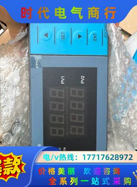 东辉仪表DY2000 智能数字显示仪DY21E9966P 量议价