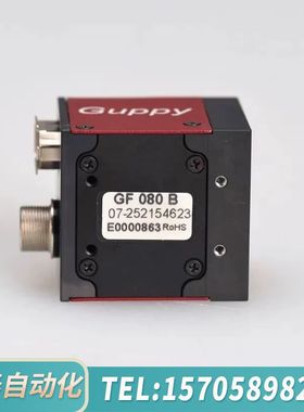 华泰AVT GUPPY GF080B 单色 CCD 工业相机 二