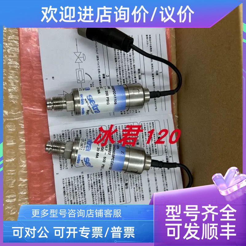 SETRA西特传器225G200PCCC41106/225G500PCC41106