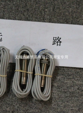 CAMAR传器TERMORESISTENZA PT100 OHM CL. B