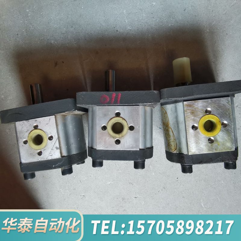 华泰SDH大众齿轮泵CBTt-F310F3P7 物品实景