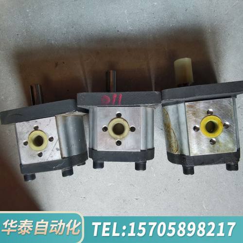 华泰SDH大众齿轮泵CBTt-F310F3P7 物品实景