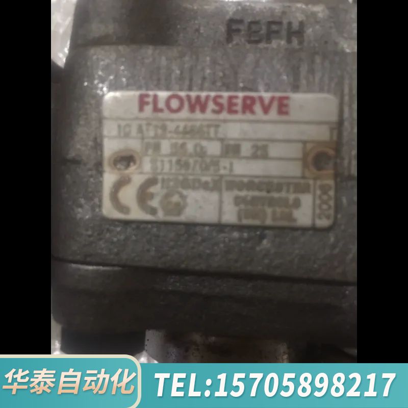 华泰FLOWSERVE 10AT13-4466TT PN55 D
