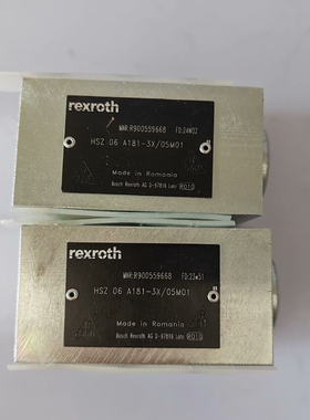 R900559668  HSZ06A181-3X/05M01