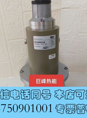 全新SG50FS/220施能慢开电磁阀SG50RS/220 燃气询价