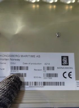 DGU模块 8100272 KONGSBERG模块