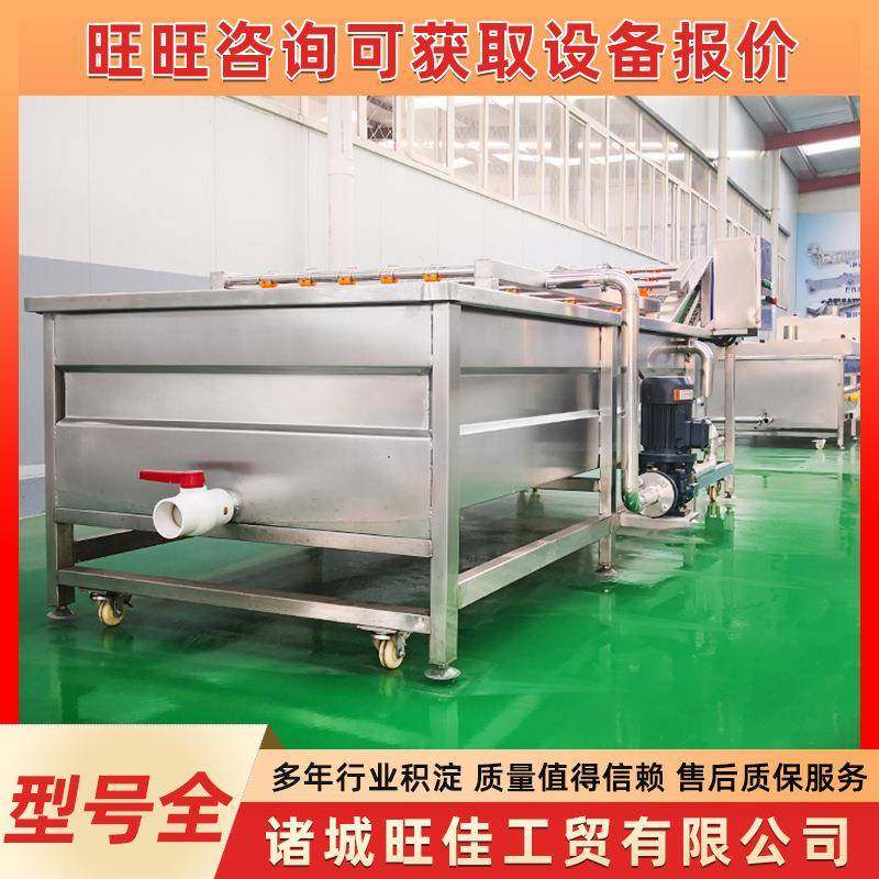 不锈钢果蔬气泡清洗机春笋浸泡清洗线山野菜藕片清洗设备