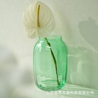 北欧轻奢高级感玻璃花瓶摆件客厅水培插花透明描金家居装饰品