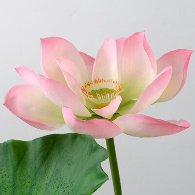 PU荷花高仿真荷花假莲花水池布置表演造景装饰景观拍照舞台道具