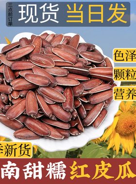 2025新货云南红皮瓜子原味甜糯水果带壳生葵花籽零食坚果年货批发