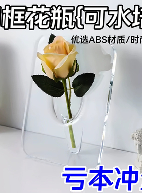 相框花瓶透明水培插花水养绿植摆件客厅桌面玄关塑料高级感ABS