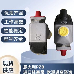 317008422W0 84R 64意大利斜轴柱塞泵环卫钩臂车专用油泵 Y60 PZB