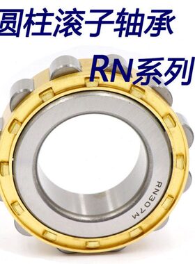 圆柱滚子轴承RN2306 RN2308  2310 2312 2313 2315 2316 N2318 EM