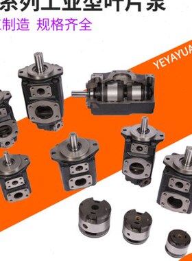 T6C叶片泵T6D T6E T6CC T6DC T6EC T6ED-003 005 06 008 010 012